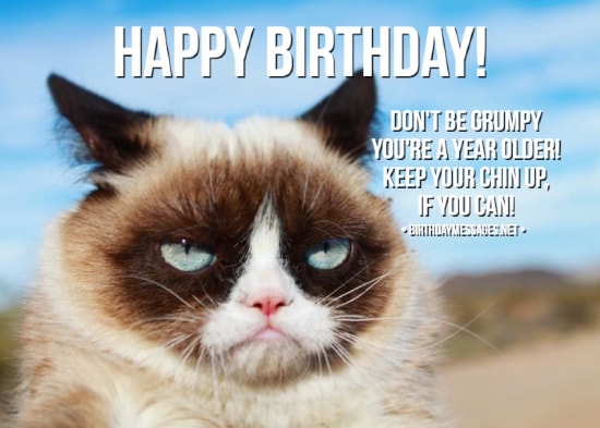 Funny Birthday Wishes Quotes Funny Birthday Messages